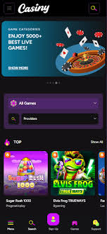 Welcome to Casiny Login Your Gateway to Online Gaming